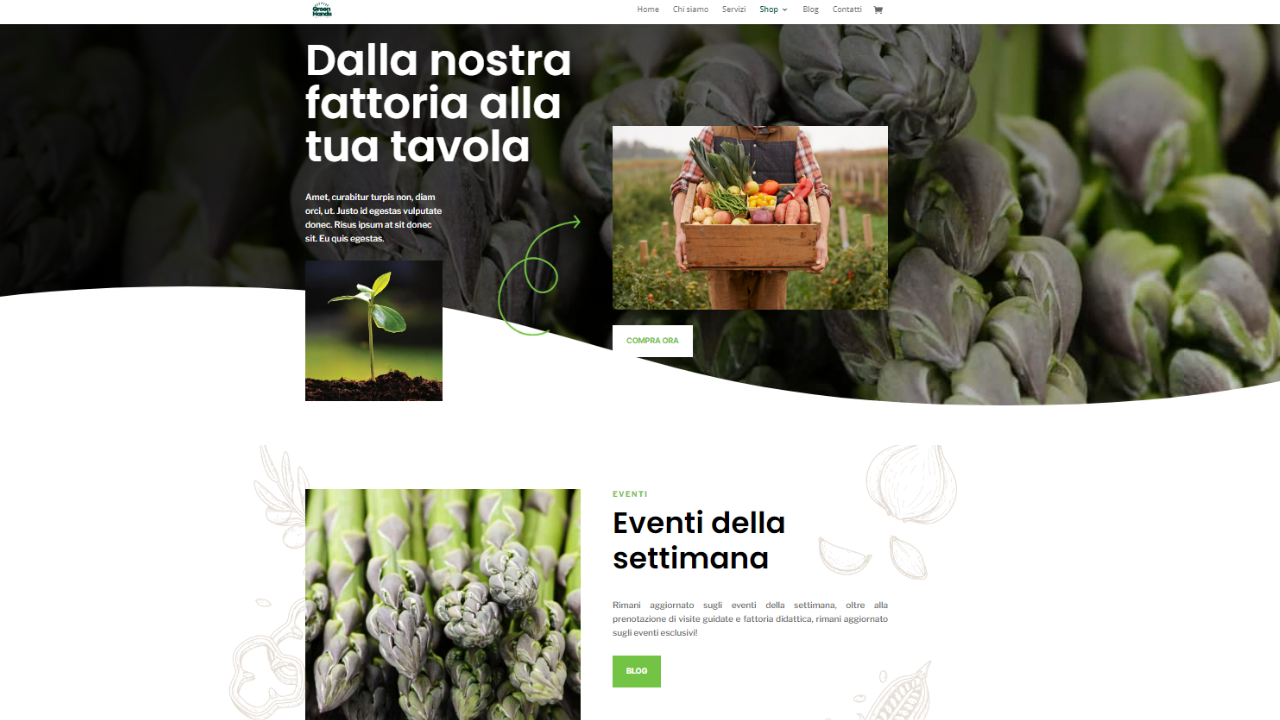 Progetto senza titolo (46)